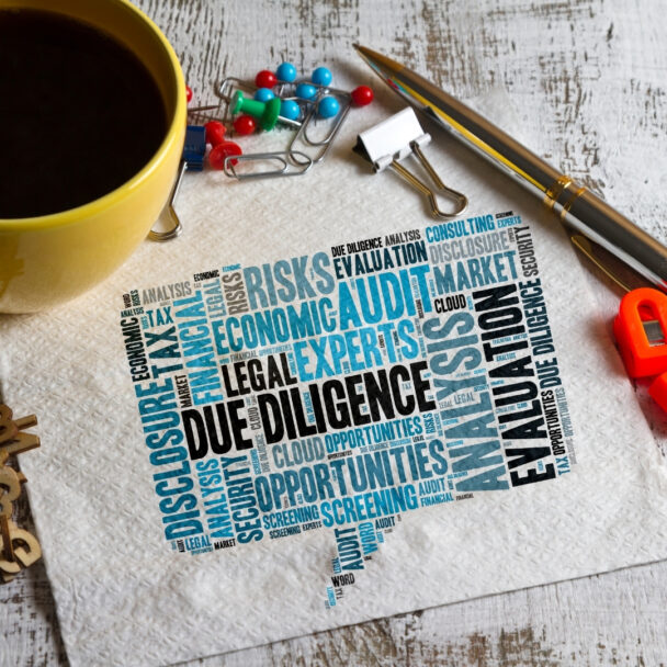 NGO Due Diligence & Partner Onboarding Frameworks